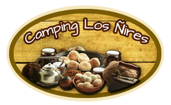 Camping Los Ñires